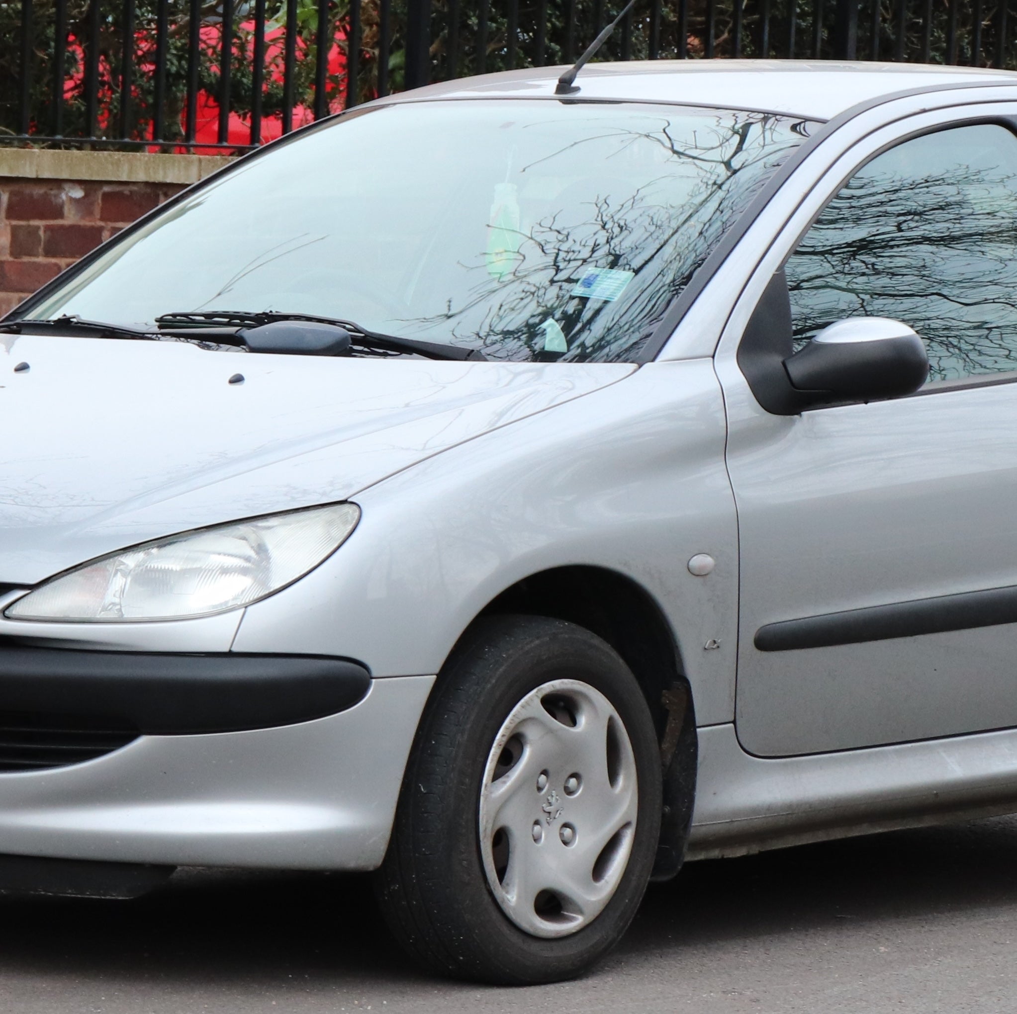 Peugeot 206 Ski Rack/Carrier – Mount Evo