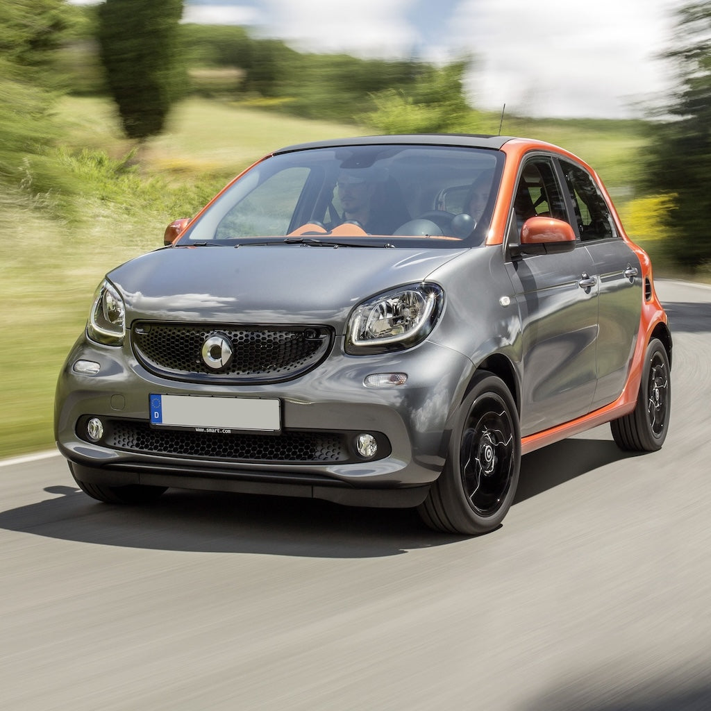 Mini Smart Forfour Smart Forfour Bike Rack/Carrier – Mount Evo