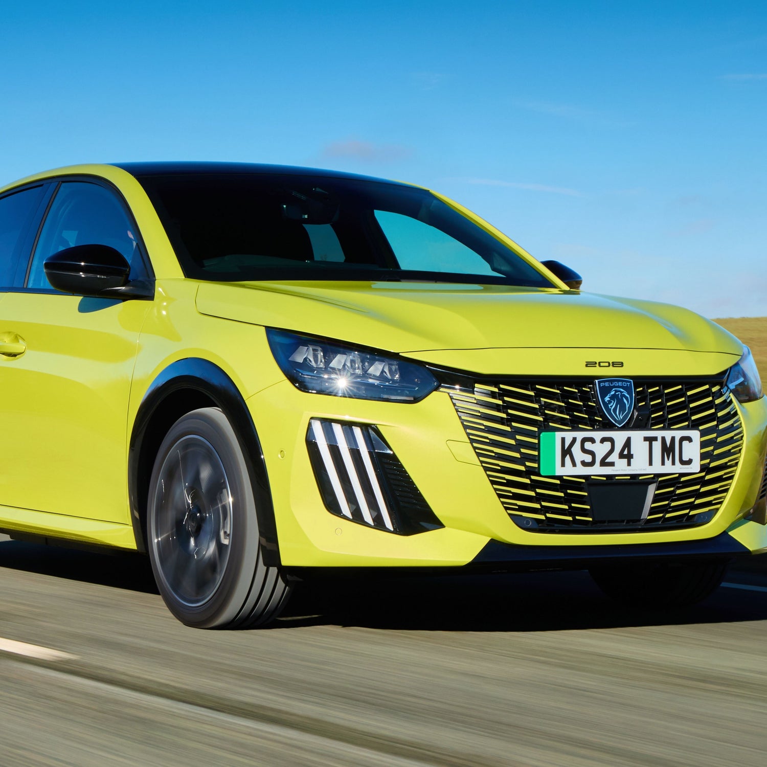 Peugeot e-208 Ski Rack/Carrier