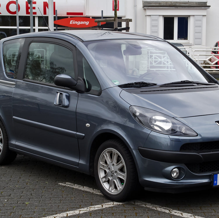 Peugeot 1007 Ski Rack/Carrier