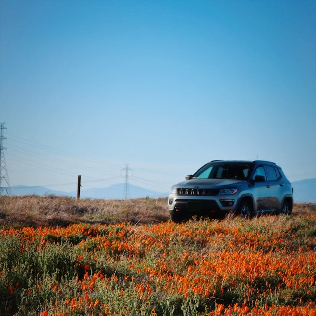 Jeep Compass Ski Rack/Carrier