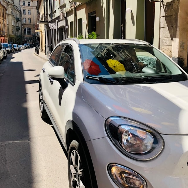 Fiat 500X Ski Rack/Carrier