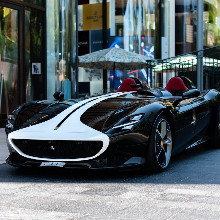 Ferrari Monza Ski Rack/Carrier