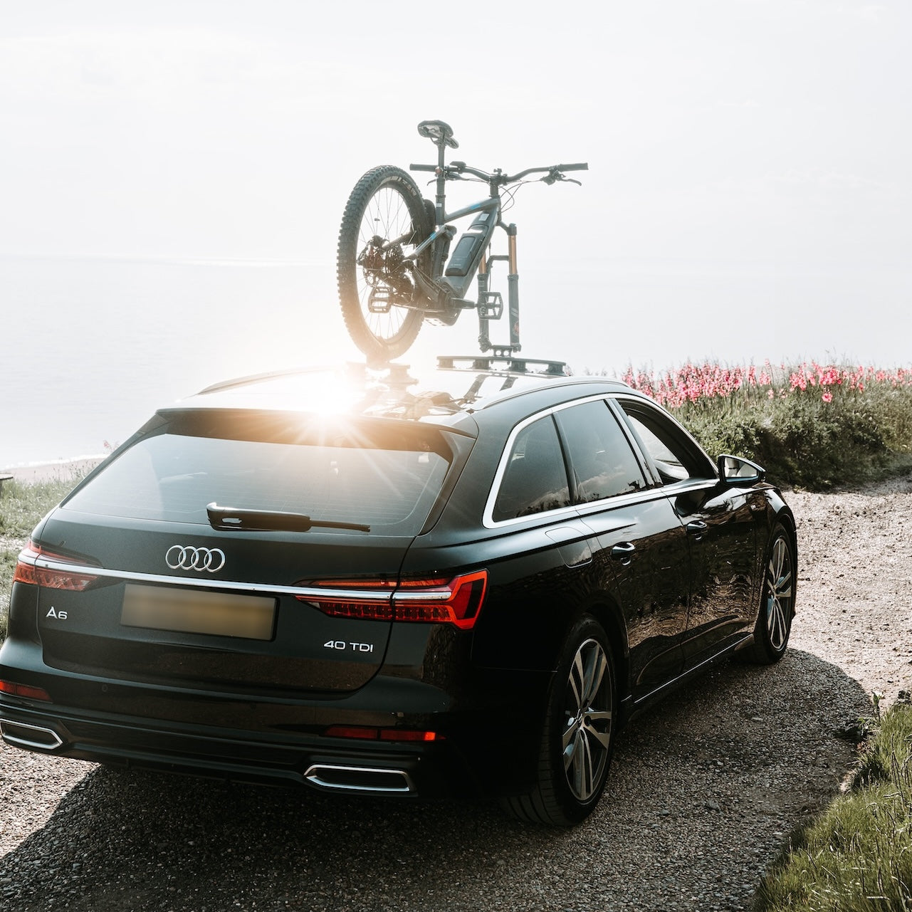 Audi Bike Racks | Mount Evo