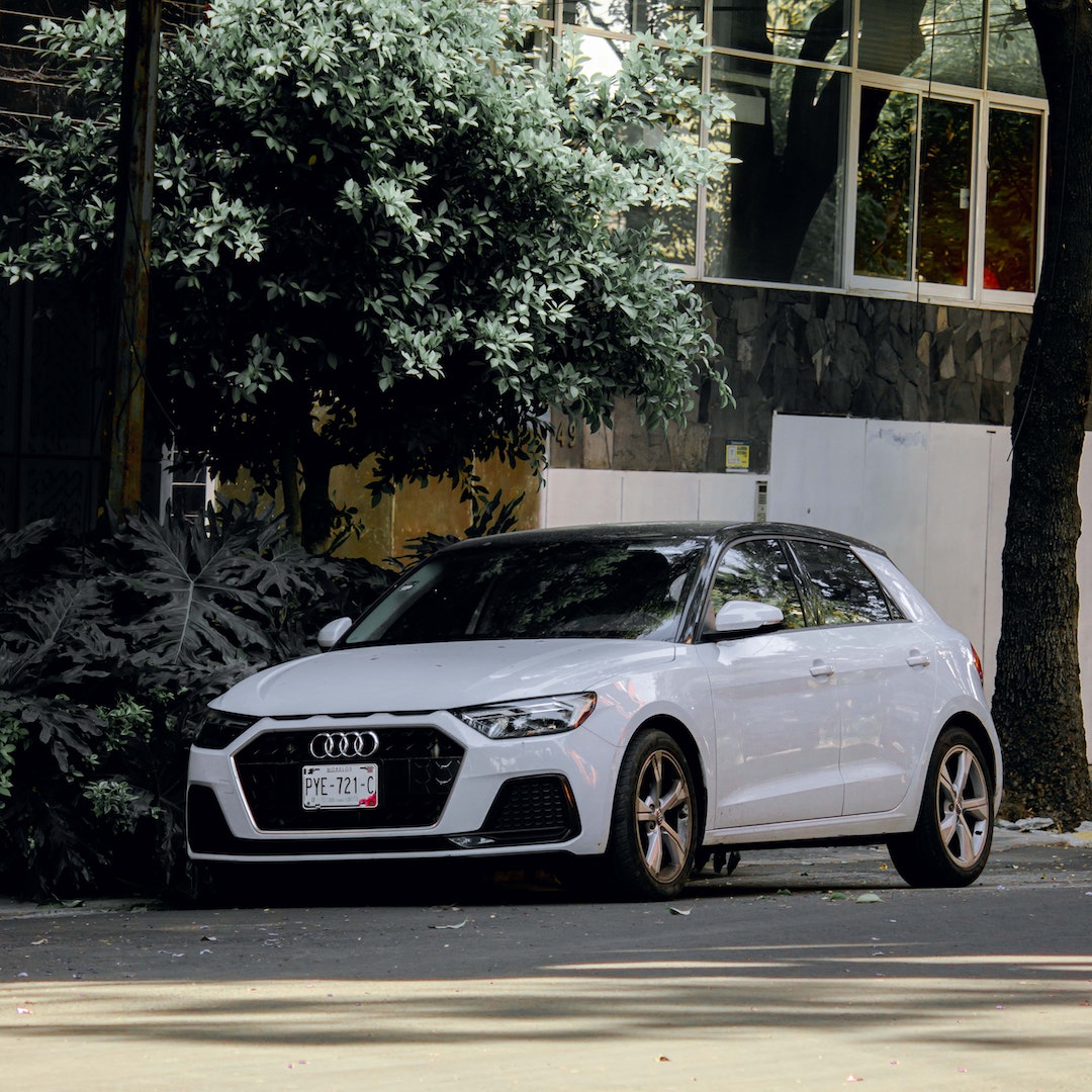 Audi A1 Ski Rack/Carrier - Mount Evo