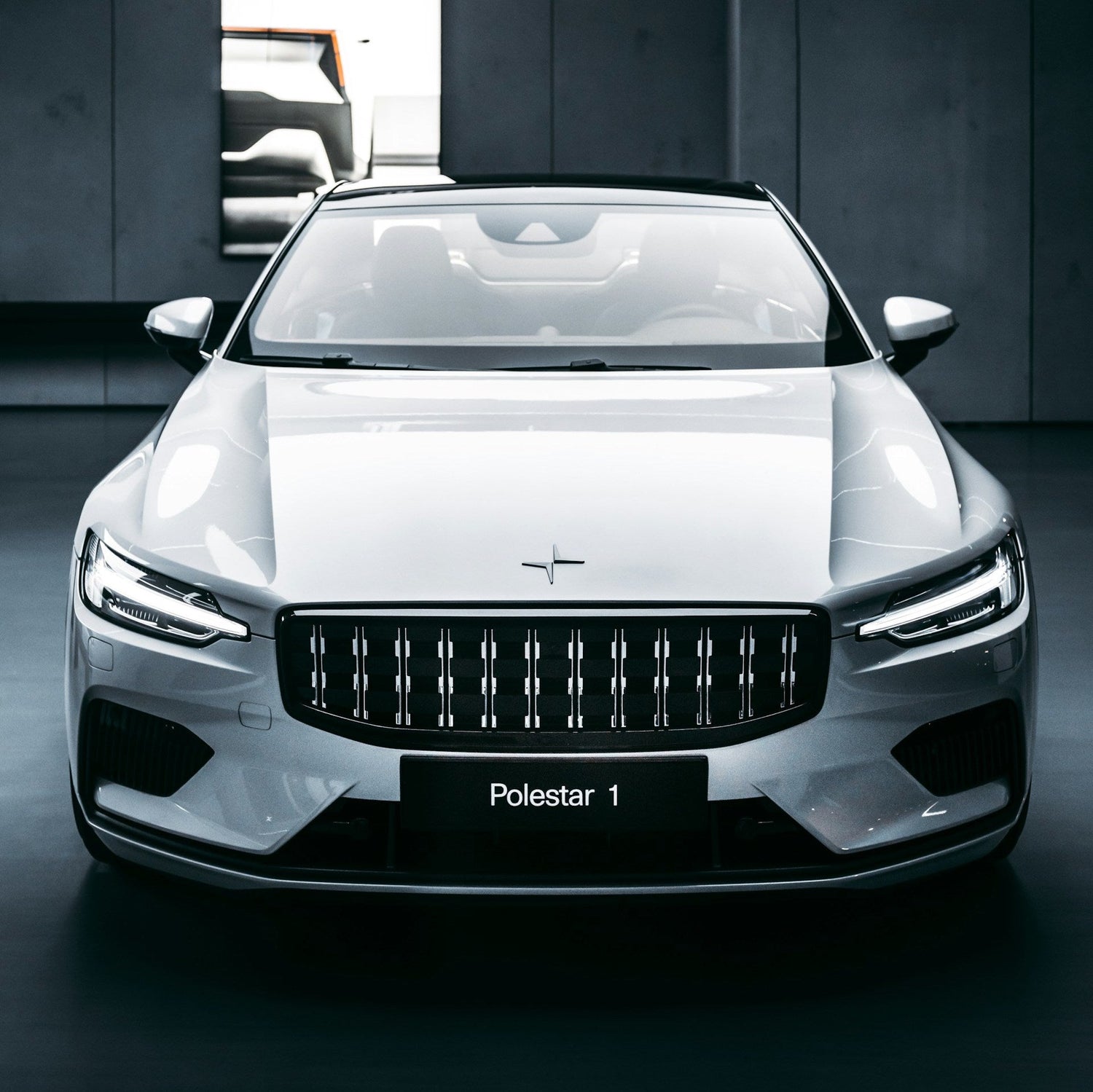 Polestar 1 Ski Rack/Carrier