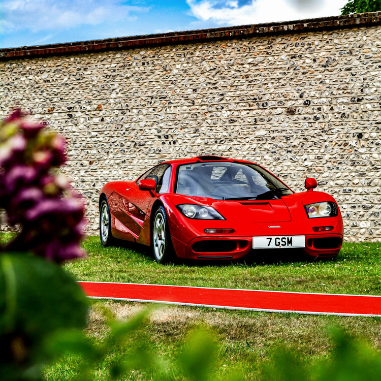 Mclaren F1 Bike Rack/Carrier