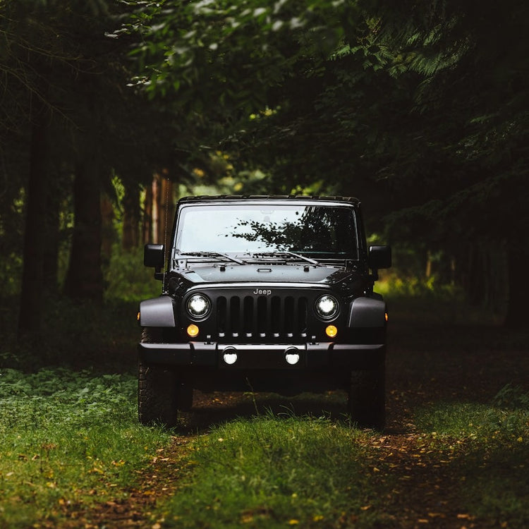 Jeep Ski Rack/Carrier