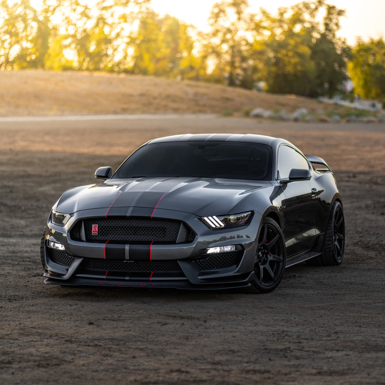 Ford Mustang Bike Rack/Carrier