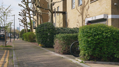 Solo Fahrradträger 